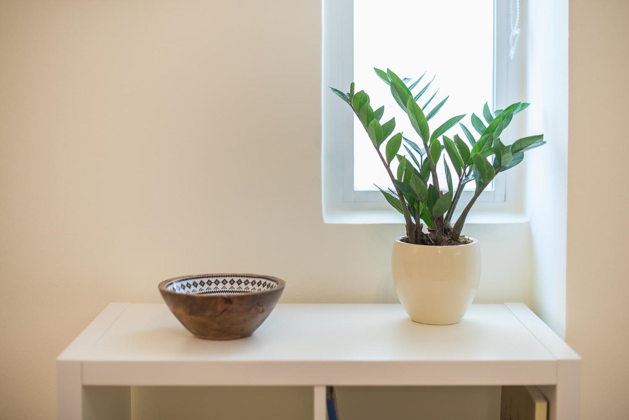 Promachos Acropolis Appartment 雅典 外观 照片
